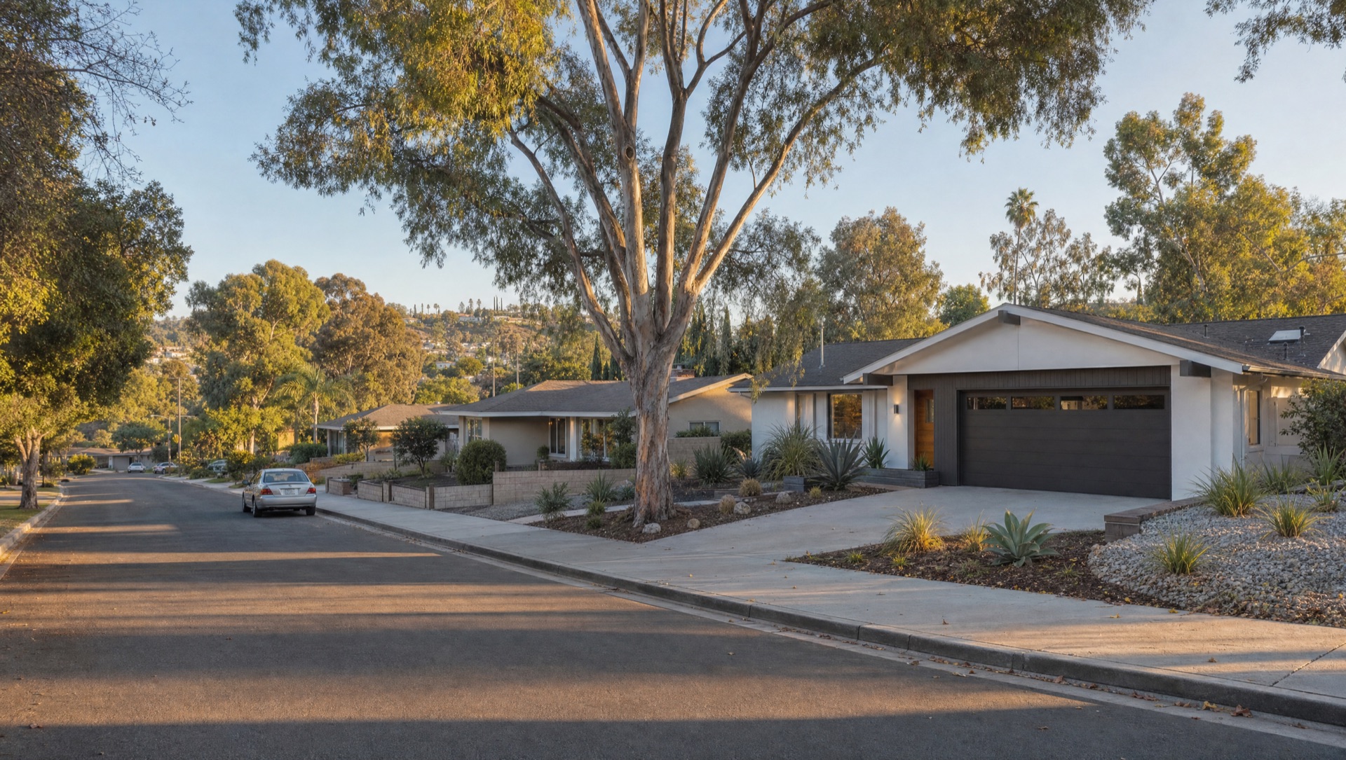 Del Cerro residential street